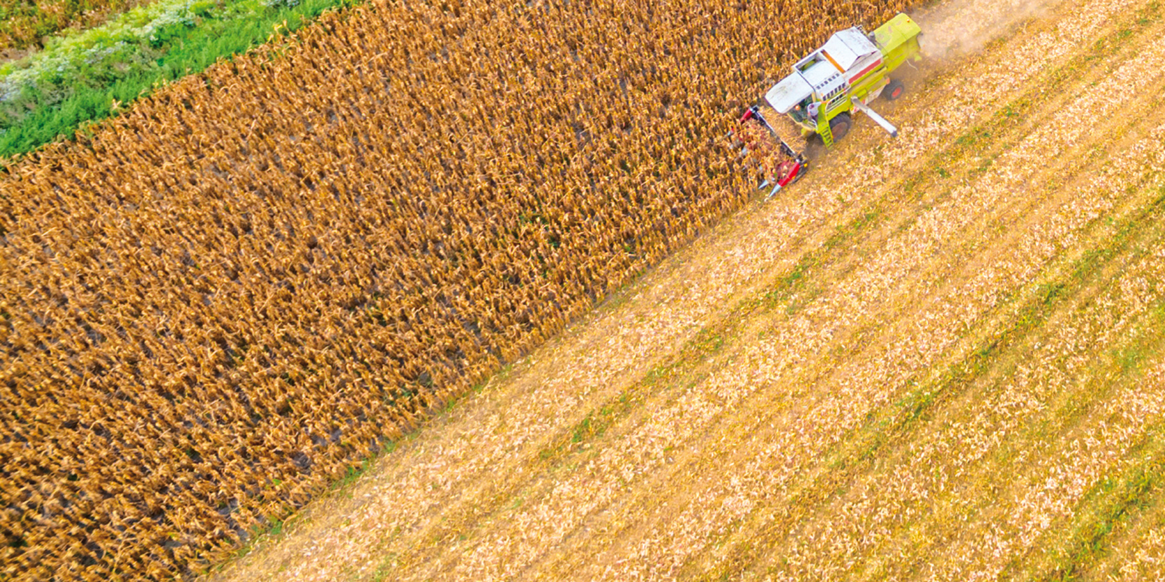 Branchenseite Landwirtschaft - N & S Schweißfachbetrieb GmbH & Co.KG